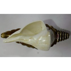 Devadatta bathing conch with holder 2
