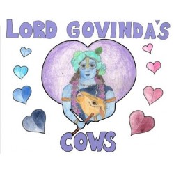 Lord Govinda's Cows